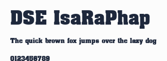 DSE IsaRaPhap預覽圖
