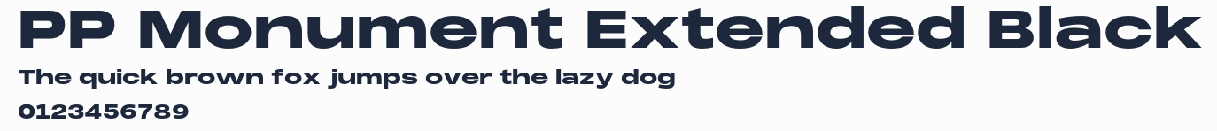 PP Monument Extended Black