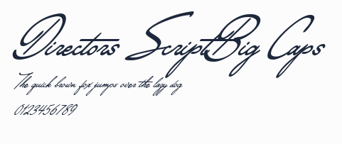 Directors ScriptBig Caps預覽圖