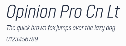 Opinion Pro Cn Lt預覽圖