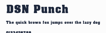 DSN Punch預覽圖
