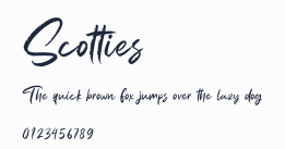 Scotties預覽圖