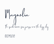 Magnolia 預覽圖