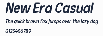 New Era Casual預覽圖