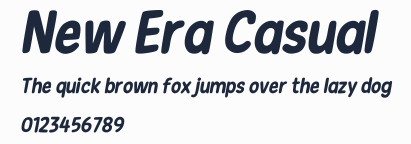 New Era Casual預覽圖