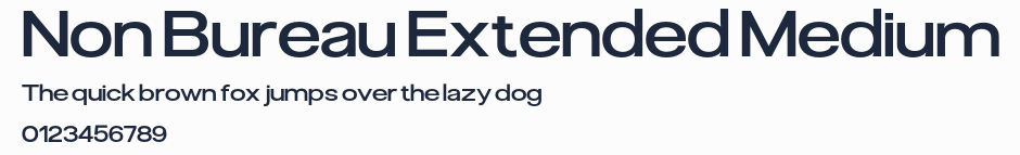 Non Bureau Extended Medium預覽圖