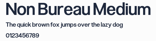 Non Bureau Medium預覽圖