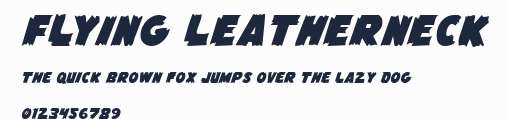 Flying Leatherneck預覽圖