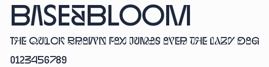 BASE&BLOOM