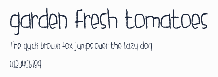 garden fresh tomatoes預覽圖