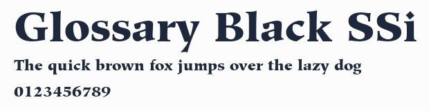 Glossary Black SSi預覽圖