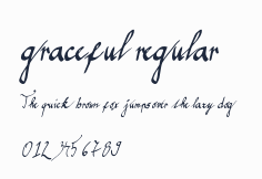 graceful regular預覽圖