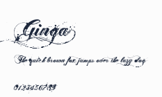 Ginga>預覽圖