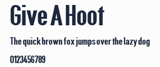 Give A Hoot預覽圖