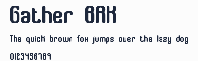 Gather BRK預覽圖