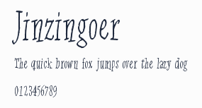 Jinzingoer預覽圖