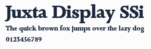 Juxta Display SSi預覽圖