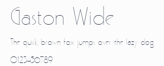 Gaston Wide預覽圖