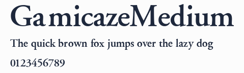 GamicazeMedium預覽圖