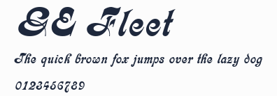 GE Fleet預覽圖