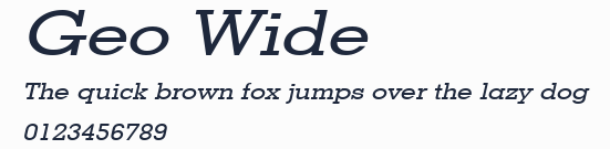 Geo Wide預覽圖