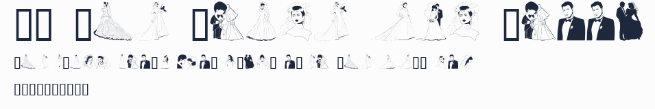 GE The Bride and Groom預覽圖