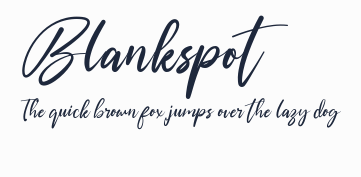 Blankspot預覽圖