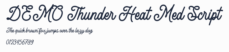 DEMO Thunder Heat Med Script預覽圖