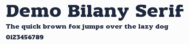 Demo Bilany Serif預覽圖