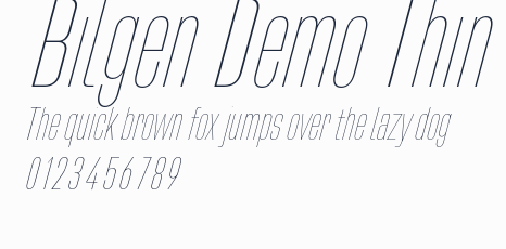 Bilgen Demo Thin預覽圖