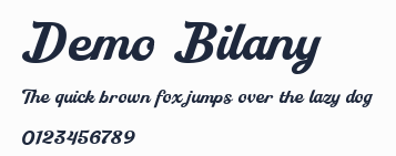 Demo Bilany預覽圖