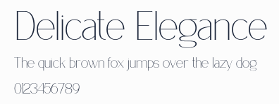 Delicate Elegance預覽圖