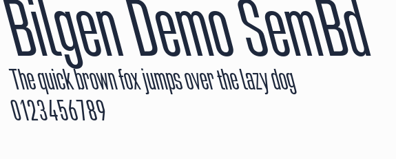 Bilgen Demo SemBd預覽圖