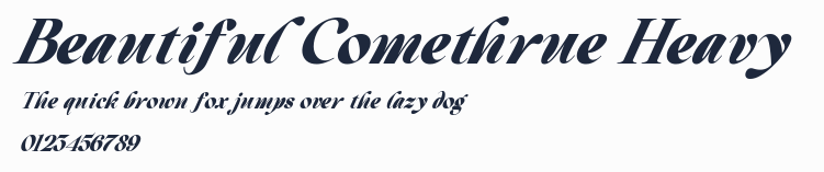 Beautiful Comethrue Heavy預覽圖