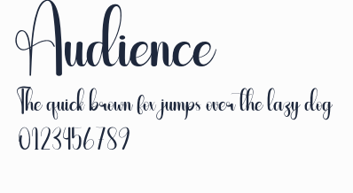 Audience預覽圖