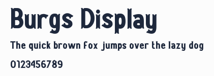 Burgs Display預覽圖