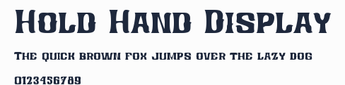 Hold Hand Display預覽圖