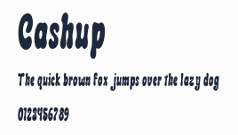 Cashup預覽圖