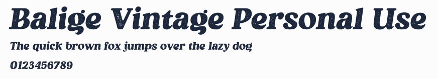 Balige Vintage Personal Use預覽圖
