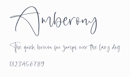 Amberony預覽圖