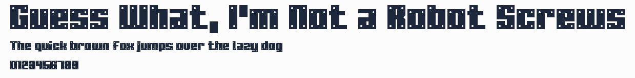 Guess What, I'm Not a Robot Screws預覽圖