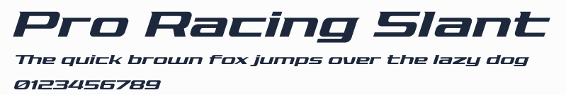 Pro Racing Slant預覽圖