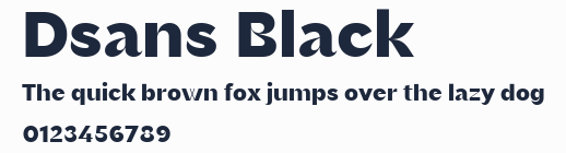 Dsans Black