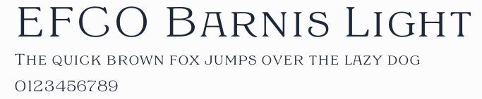EFCO Barnis Light預覽圖