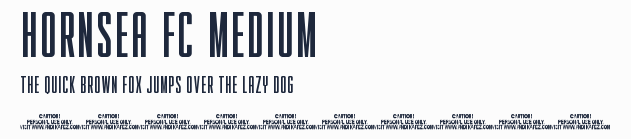 HORNSEA FC MEDIUM預覽圖