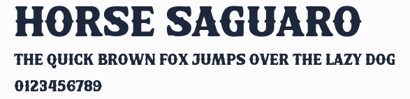 Horse Saguaro預覽圖