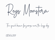 Reys Monstera預覽圖