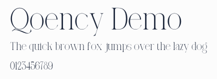 Qoency Demo預覽圖