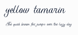 yellow tamarin預覽圖