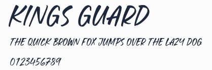 Kings Guard預覽圖